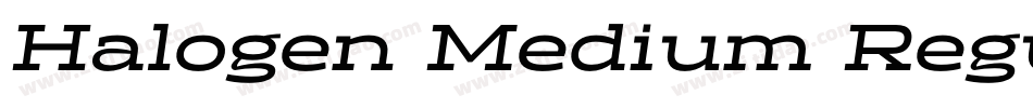 Halogen Medium Regu字体转换